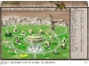 dragosien1.jpg