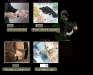 mafia4.jpg
