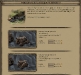 pirates3.jpg