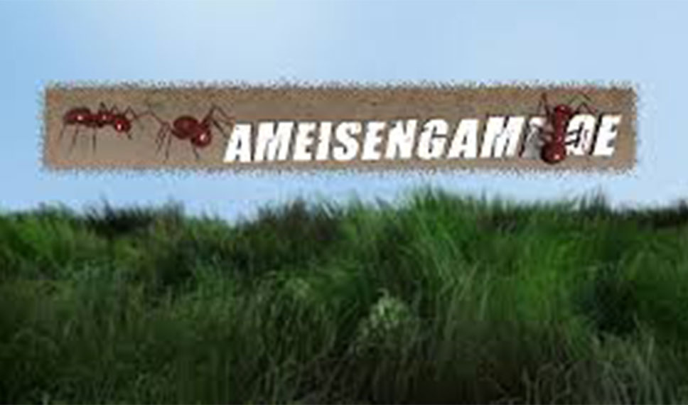 Ameisengame – das Browsergame